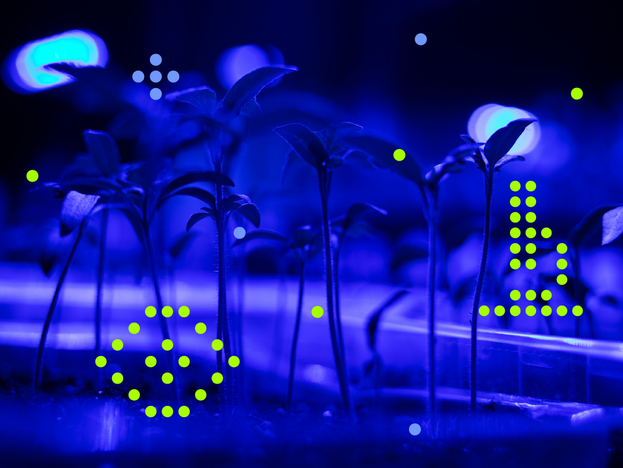 Ultraviolet light detective