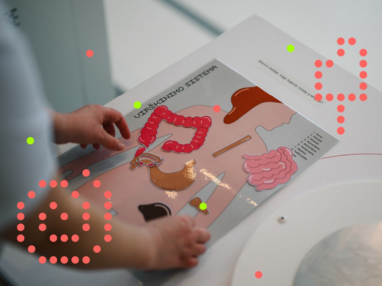 Maisto kelionė: kaip kąsnis virsta energija?